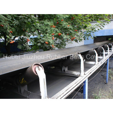 Multiply Fabric Conveyor Belt